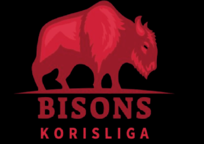 Novida.bisons